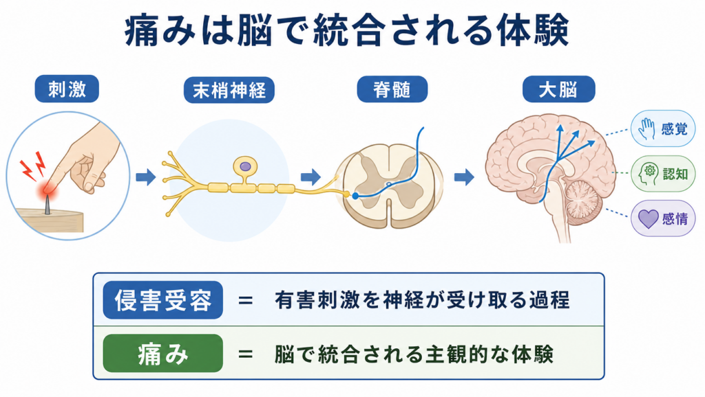 画像に alt 属性が指定されていません。ファイル名: oKBd2IId-1024x578.png